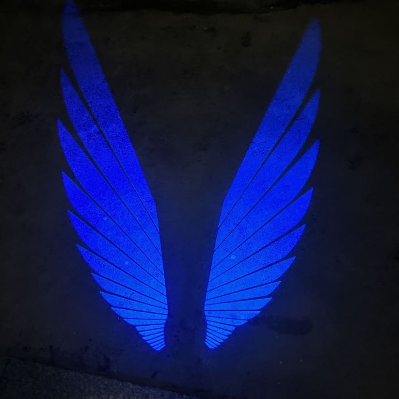 Angel Wing LED Lamp Lights For All Bikes And Cars Road Refit White,Blue,Red